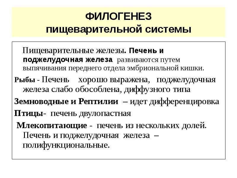 Развитие нервной системы в филогенезе. Понятие филогенез. Филогенетическое развитие. Филогенез головного мозга у позвоночных животных. Филогенез нервной системы.