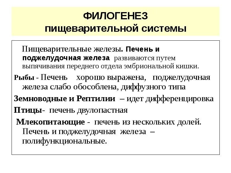 Филогенез примеры. Филогенез пищеварительной системы. Филогенез пищеварительной системы таблица. Филогенез поджелудочной железы. Филогенез поджелудочной железы животных.