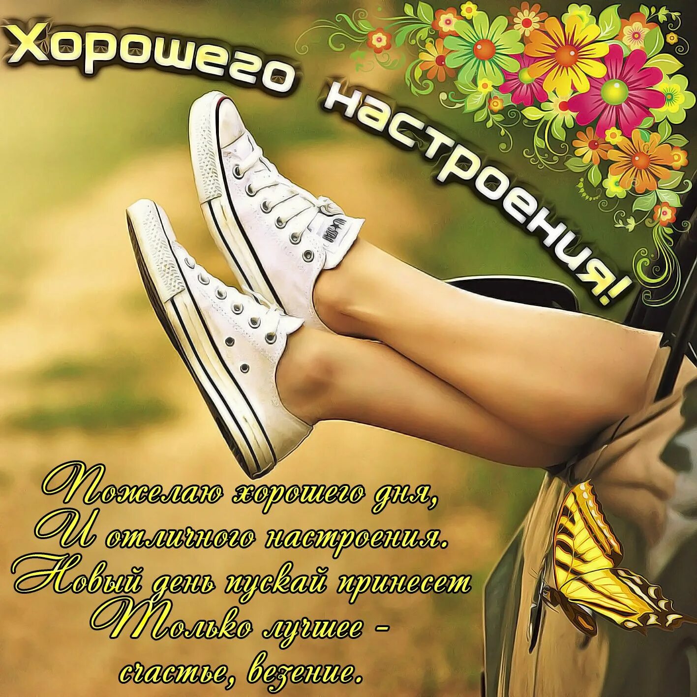 Доброго дня веселые. Открытки с пожеланиями хорошего дня. отлично дня и хорошего настроения. хорошего дня и настроения. хорошего дня и отличного настроения.