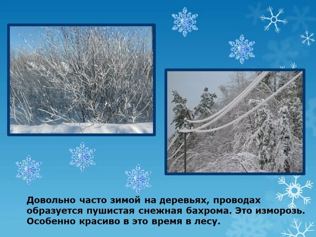 В гости к зиме окружающий мир 2. В гости к зиме. проект в гости к зиме. пушистая снежная бахрома на деревьях это. на деревьях образуется пушистая снежная бахрома что это.