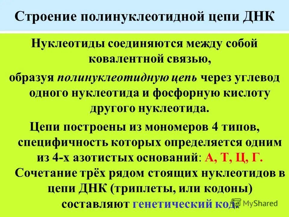 Полинуклеотидная цепь связи. Структура полинуклеотидной цепи ДНК. Структура полинуклеотидной цепи. Строение полинуклеотидной Цепочки. Строение полинуклеотидной цепи ДНК.