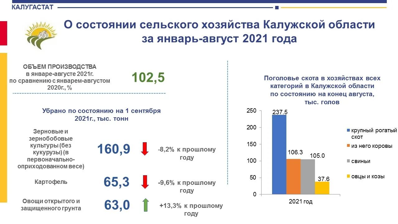 Сельское хозяйство Калужской области статистика. Сельское хозяйство Росстат Калужская область. Калуга хозяйство. Показатели сельского хозяйства Росстат по Брянской области.