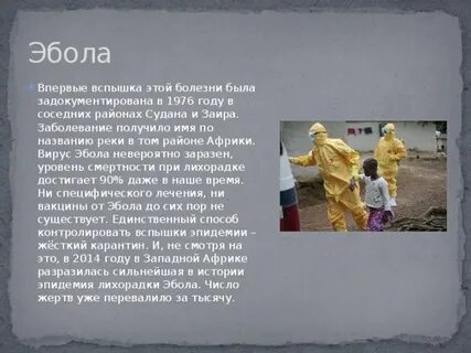 Сообщение на тему эпидемия