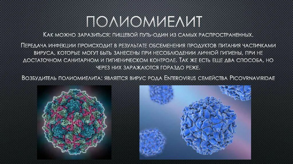 Центр полиомиелита. Полиомиелит возбудитель. вирус полиомиелита на латинском. полиомиелит тип взаимодействия. полиомиелит источник заражения.