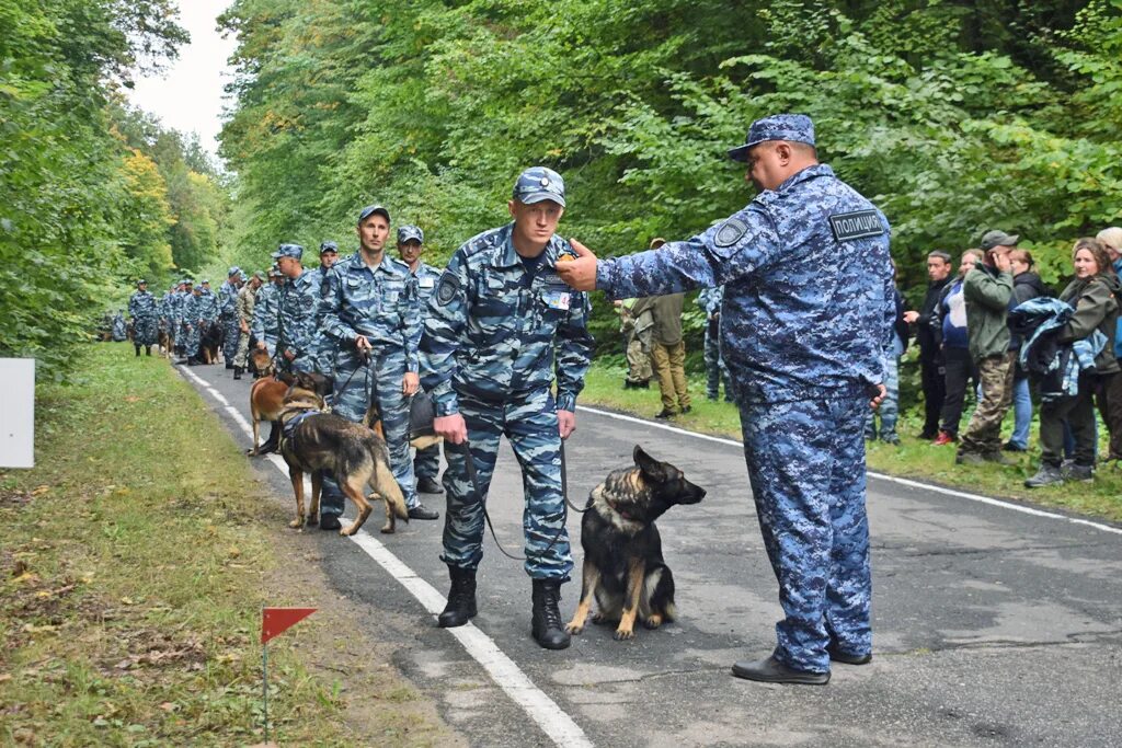 Кинолог с собакой. Кинолог в полиции. Полицейский с собакой. Кинолог МВД. Бесплатный кинолог