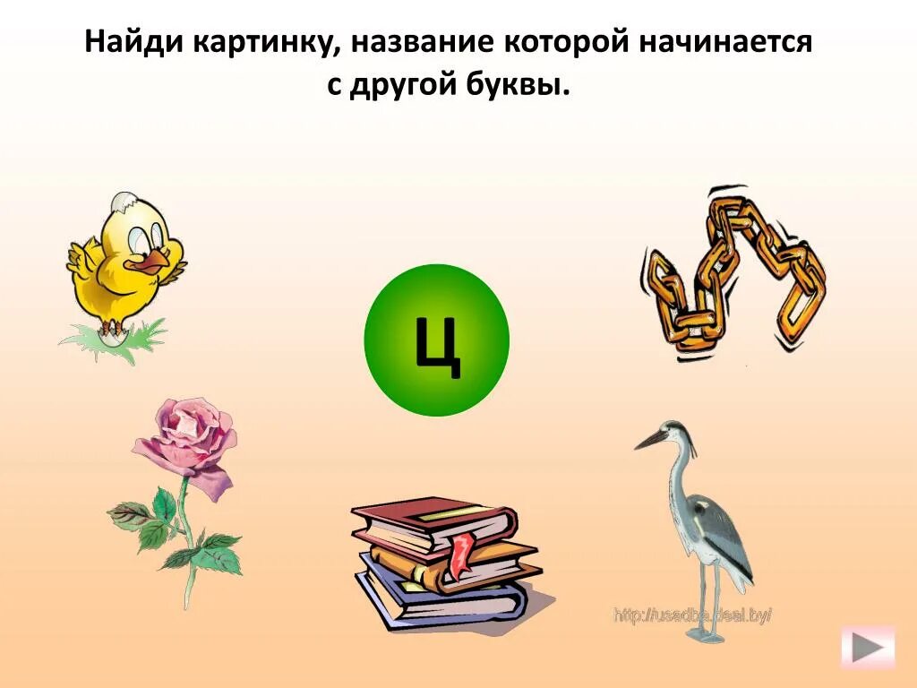 Предметы на букву ц. Звук и буква ц. Слова на букву ц картинки. Предметы которые начинаются на букву ц. Презентация ц ч