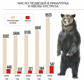 В каких странах есть медведи