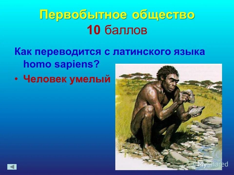 Homo habilis). Человек умелый одежда. Человек умелый человек разумный. Homo habilis образ жизни. Человек умелый homo habilis образ жизни.