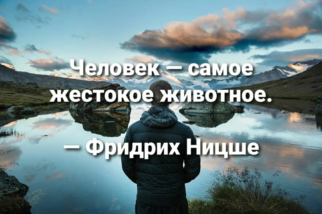 Нет зверя страшнее чем человек. Человек самое жестокое животное. Человек самое жестокое существо на земле. Люди самые жестокие существа. Люди самые жестокие существа цитаты.