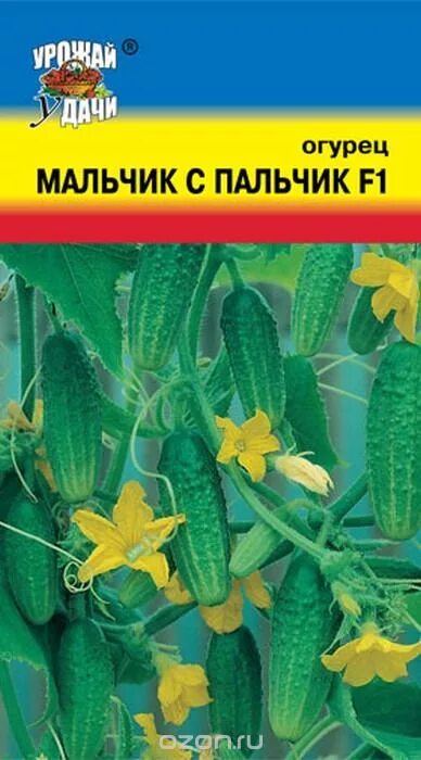 Сорт мальчик с пальчик. Мальчик спальчик огурцы. Семена огурец мальчик с пальчик f1. Огурец мальчик с пальчик f1. Мальчик с огурцом.