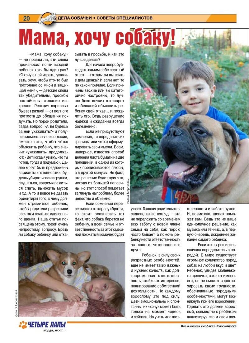 Что хотят собаки
