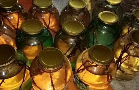 Рецепт закатки березового сока