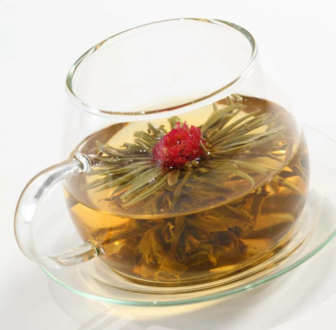 Чай от которого пьянеешь. Зеленый чай цветок распускается. Связанный чай Эрл грей. Китайский чай цветок распускается. Чай персик Священного дракона связанный.