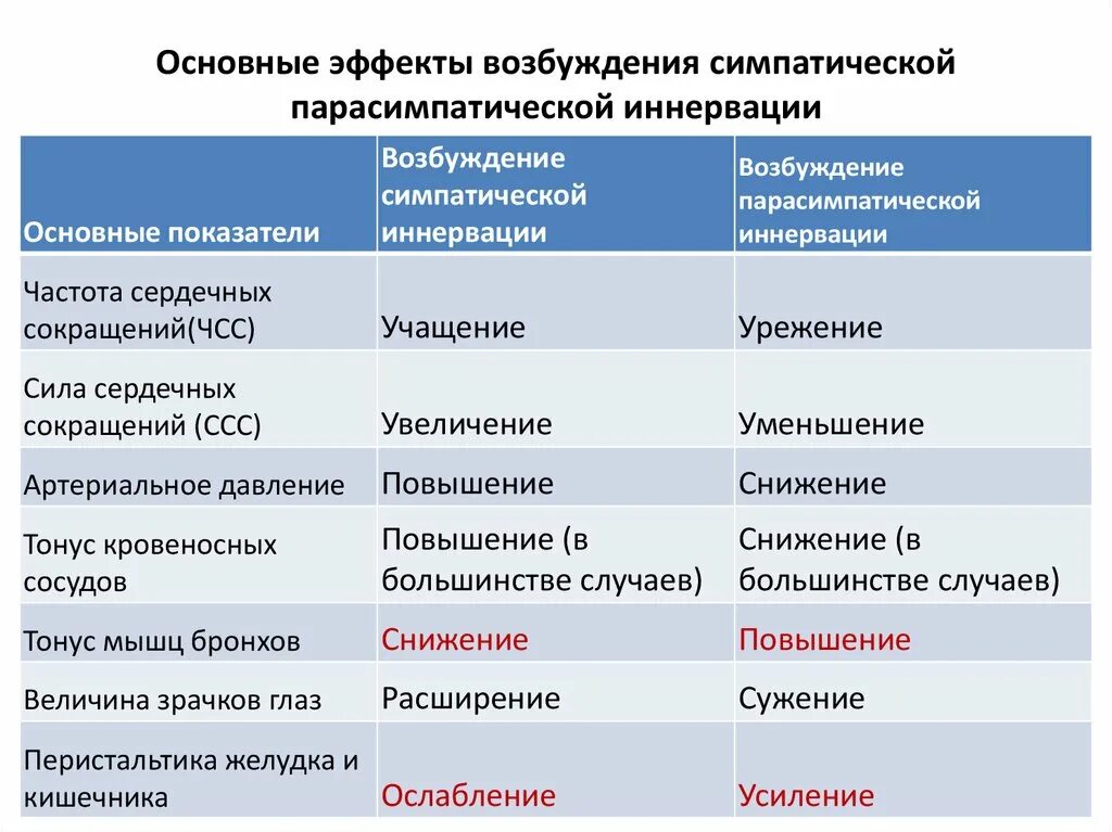 Лекция № 23. Функциональная анатомия вегетативной нервной системы