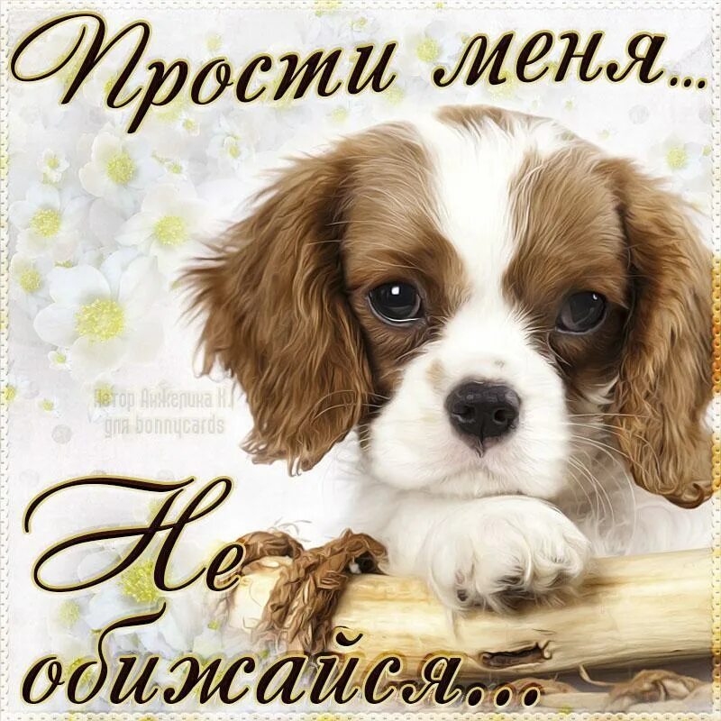 Проголосуйте пожалуйста за мою племяшку настю
