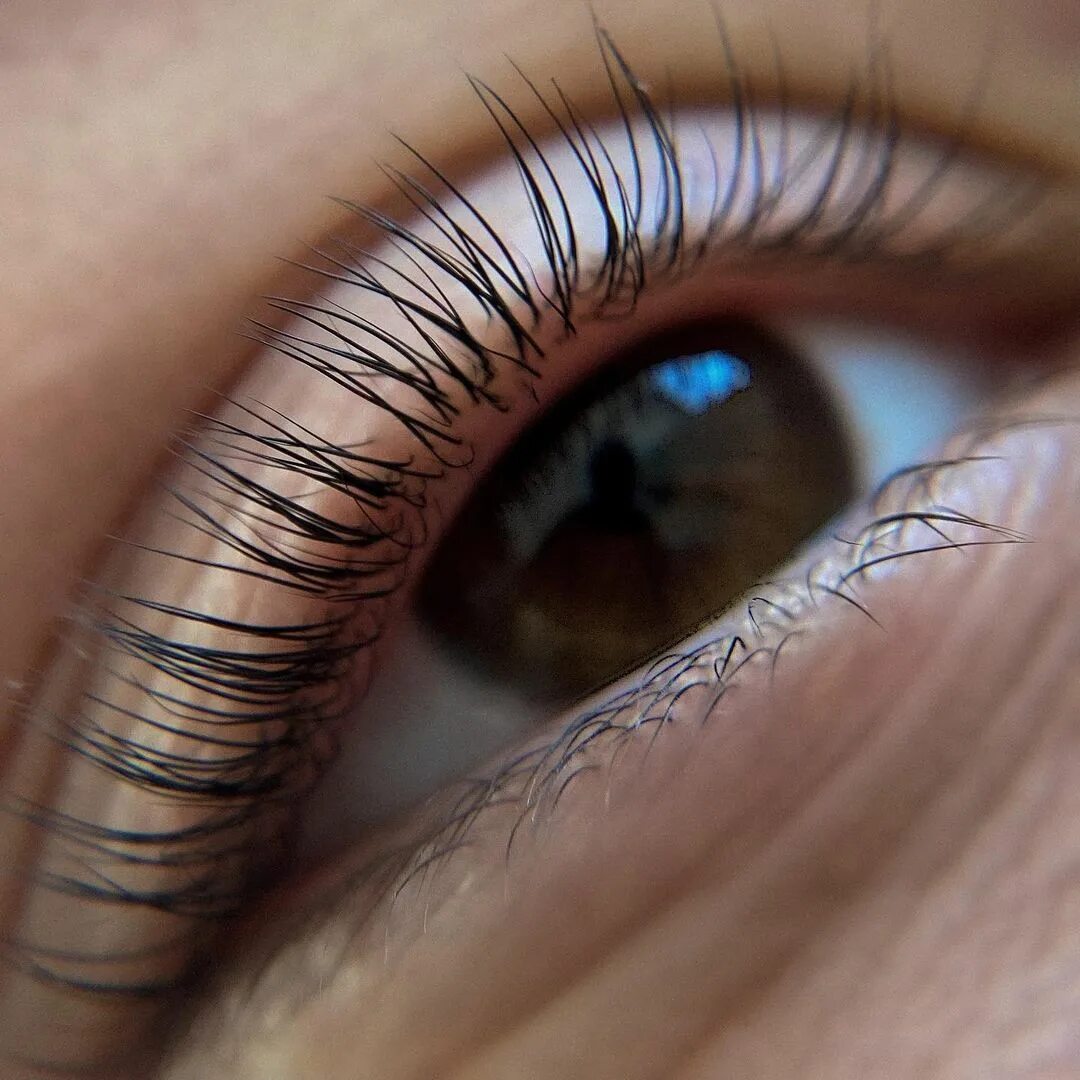 ламинирование ресниц в томске. ламинирование ресниц в томске. ламинирование ресниц с блестками. ламинирование ресниц в томске. ламинирование ресниц.