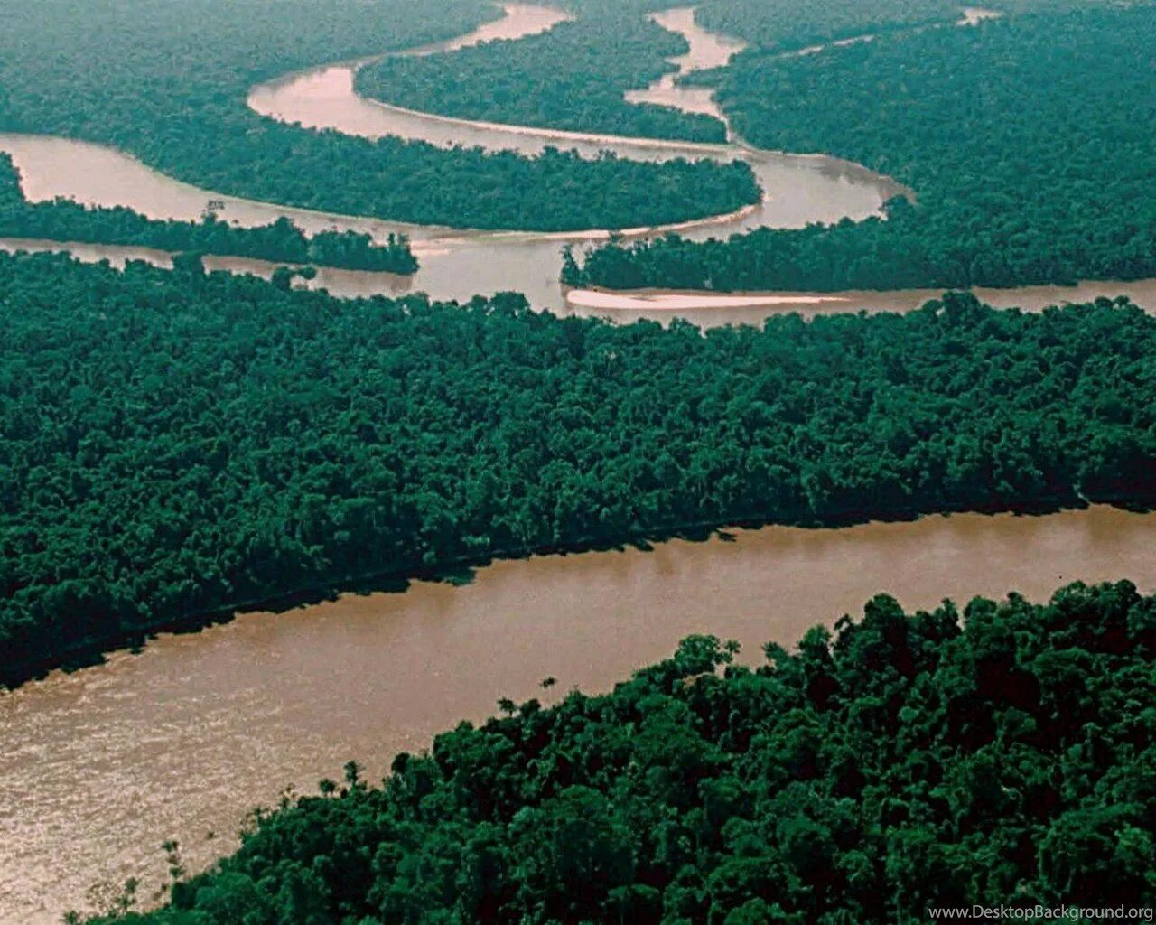 Какие крупные озера находятся на амазонской низменности. Бразилия Амазонская низменность. Равнина Амазонская низменность. Реки амазонской низменности. Южная Америка Амазонская низменность.
