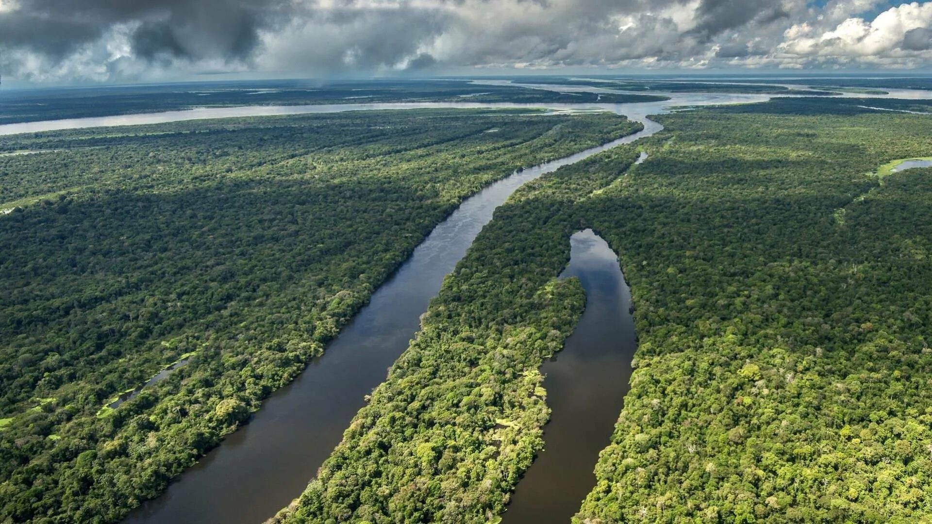 Южная Америка река Амазонка. Амазония река Амазонка. Река Амазонка в Бразилии. Река Амазонка Ориноко. Самая большая река в бразилии