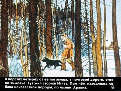 Арапка это