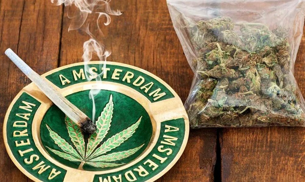 Конопля в голландии. Нидерланды природа. Конопля в голландии. Красивые деревенские сооружения. Нидерланды трава.