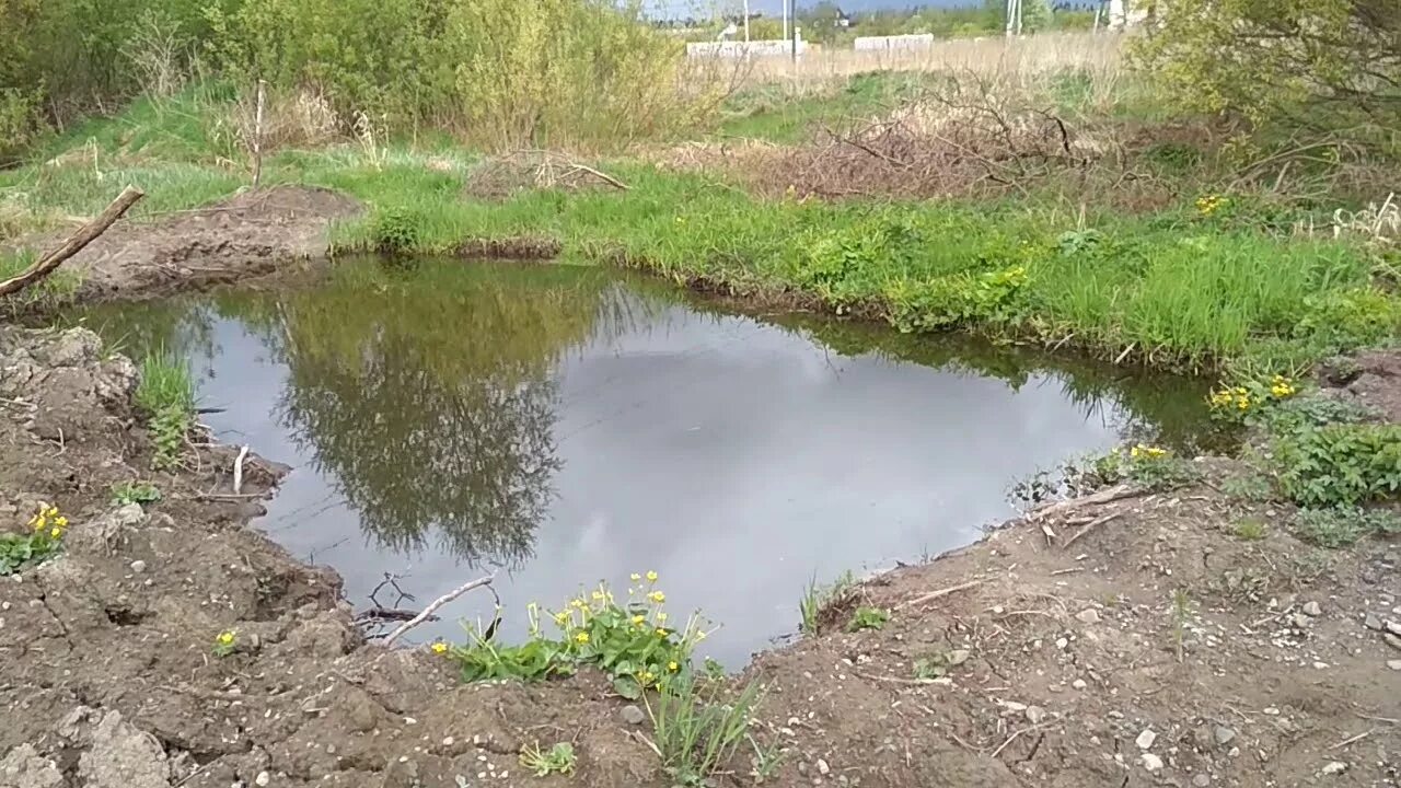 Как копать пруд. Пруд копанка. пруд копанка для разведения рыбы. выкопать пруд на участке. копка пруда на участке.
