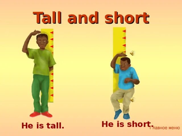 Big s tall. Tall картинка. Tall на английском. Картинки Tall short. Карточки по англ Tall.