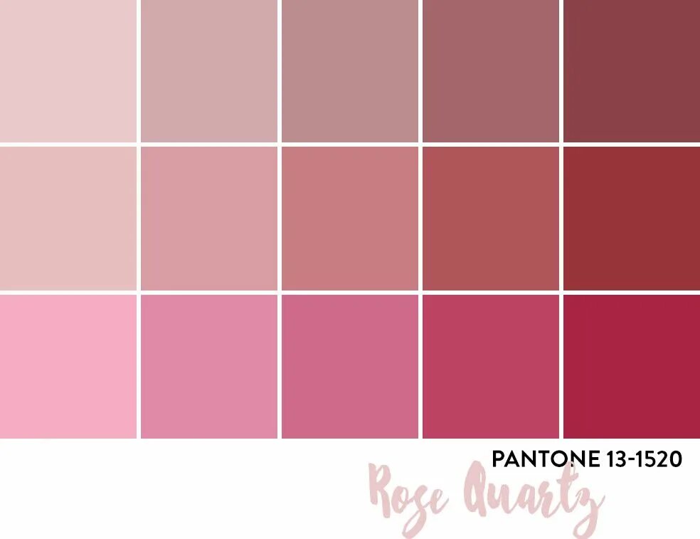Pantone rose