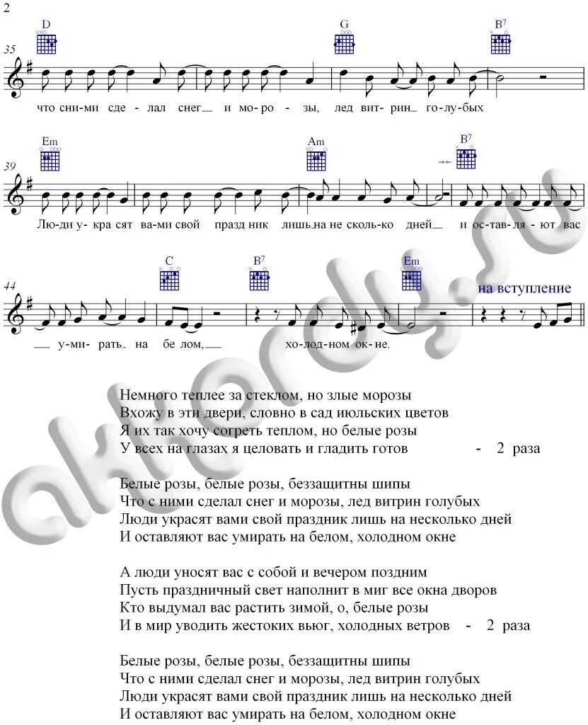 Ласковый май белые розы аккорды. Текст песни белые розы шатунов текст.