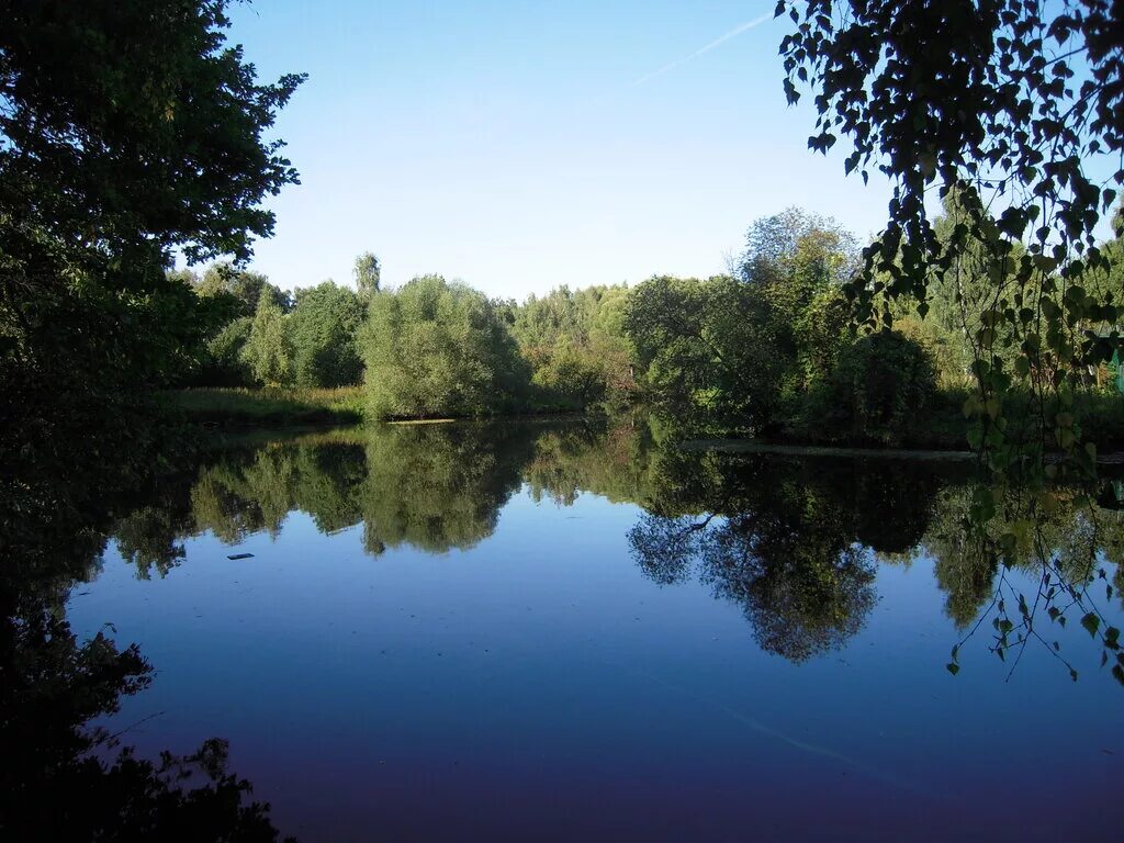 река десна остафьево. река десна рязановское поселение. река десна брянской области. подольск река пахра исток. река десна брянск.