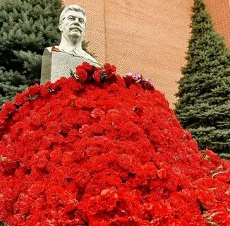 Цветы сталину сегодня