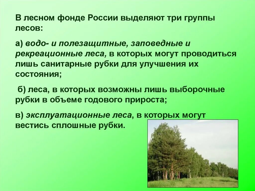 Группы лесов лесного фонда России. Лесное хозяйство презентация. Характеристика леса. Презентация на тему Лесное хозяйство. Какие есть группы лесов