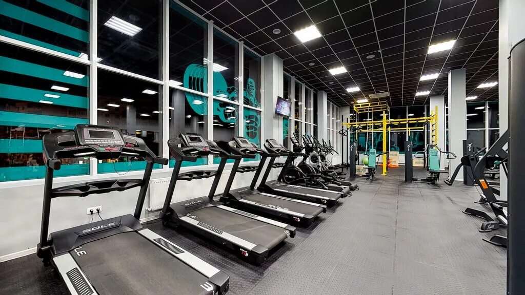 Посейдон новороссийск спортзал. Джамбо джим новороссийск на леднева. Генетик новороссийск. Генетика фитнес анапа. Фитнес клуб на леднева новороссийск.