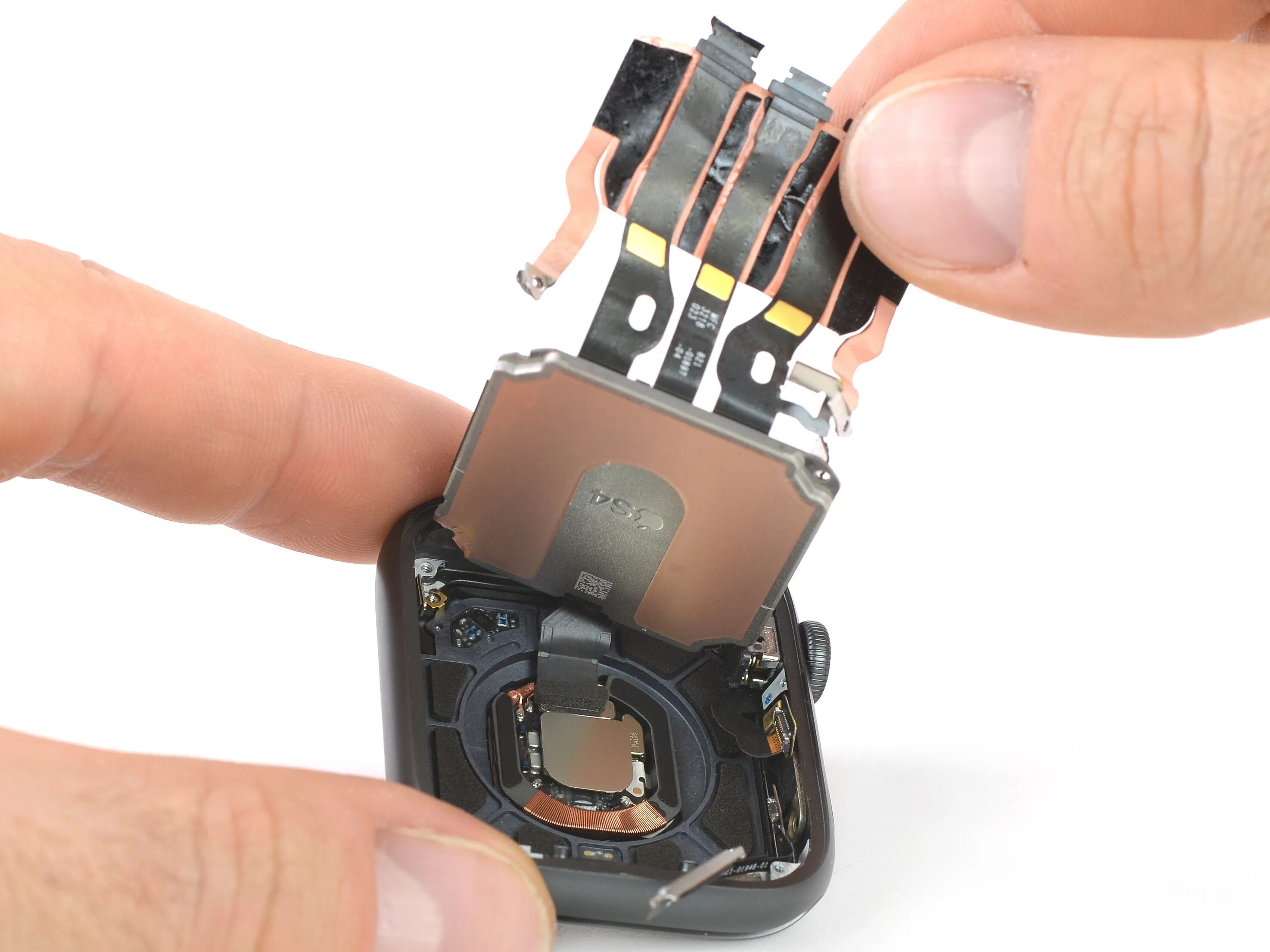 Увлекающийся разбор. Apple watch 4. Apple watch IFIXIT. Apple watch 7 IFIXIT. Apple watch 4 датчики.