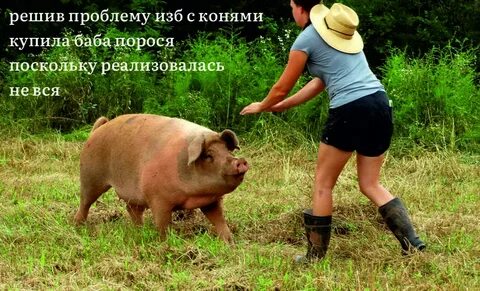 Купила баба порося пословица полностью