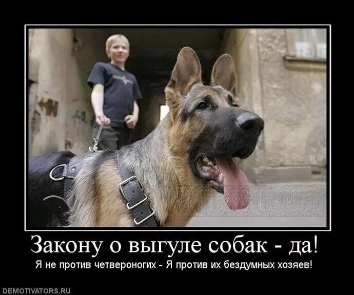 Некоторые хозяева