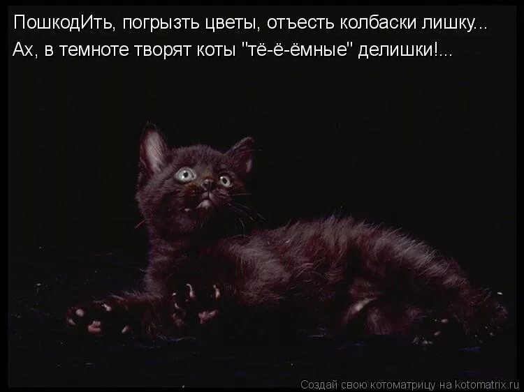 Карикатуры на толстых женщин смешные. Собственно русские слова. Надпись кот. Картинка как вы мне все надоели. Отъел есть такое слово.