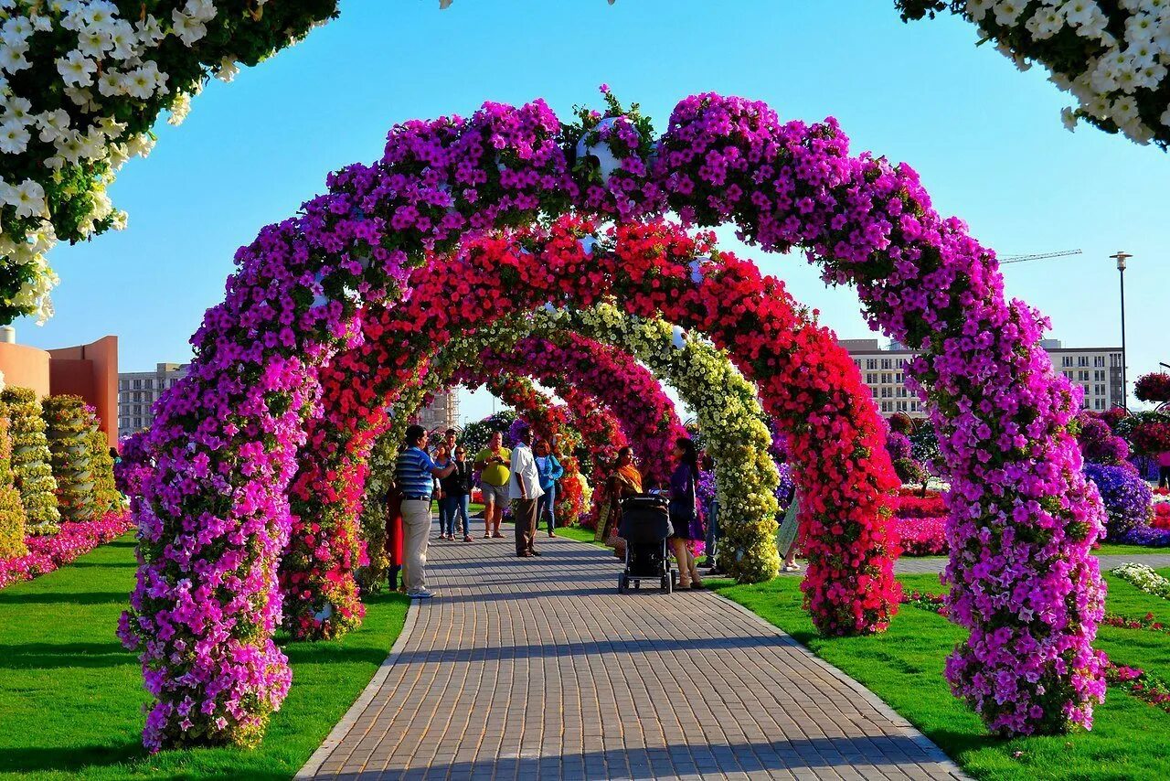 Доступен в цветах. Миракл Гарден Дубай. Dubai Miracle Garden Дубай. Дубай Флауэрс Гарден. Дубайская арка парк.