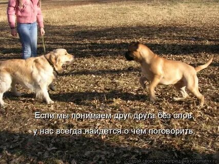 Ты мне не друг поняла