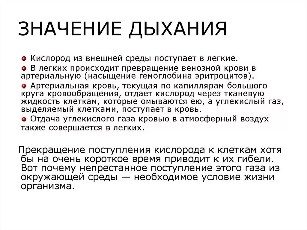 Время слова дышит. Значение дыхания. Значение процесса дыхания. Значение дыхания для организма. Значение дыхательной системы человека.