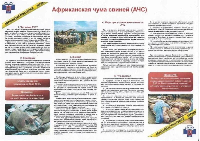 Памятка по африканской чуме свиней. Африканская чума свиней буклет. Чем опасна африканская чума для человека. Чем опасна африканская чума для человека. Эпизоотология африканская чума свиней.