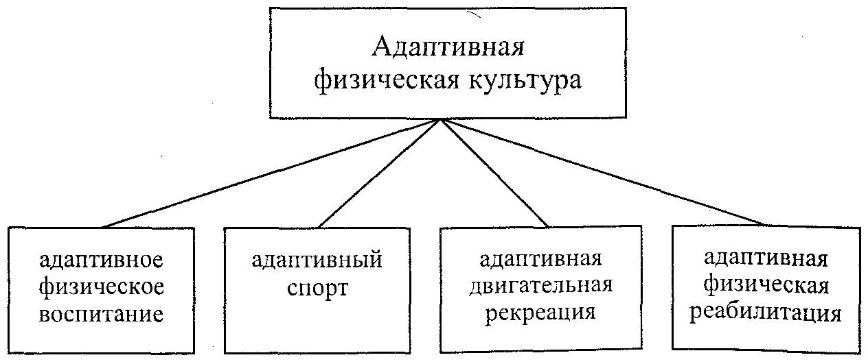 Основные компоненты адаптивной физической культуры. Виды адаптивной физической культуры. Педагогические задачи адаптивной физической культуры. Экстремальные виды жвигательные активности. Компоненты физической культуры.