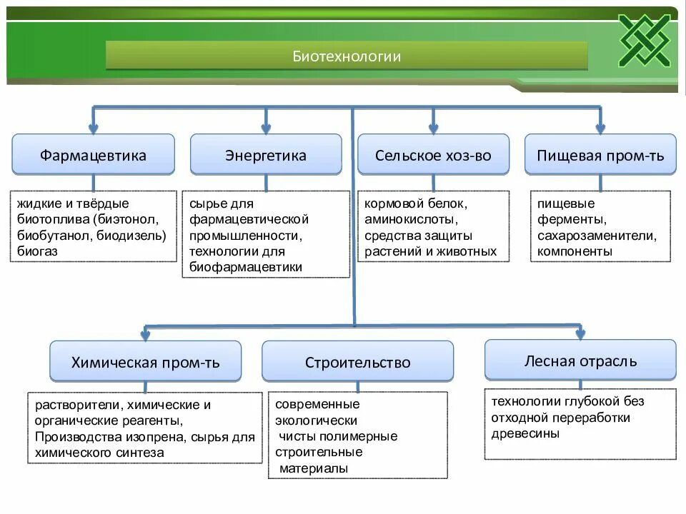 Биотехнология является. Биотехнология примеры. Биотехнологические методы примеры. Методы и направления биотехнологии. Биотехнология схема.