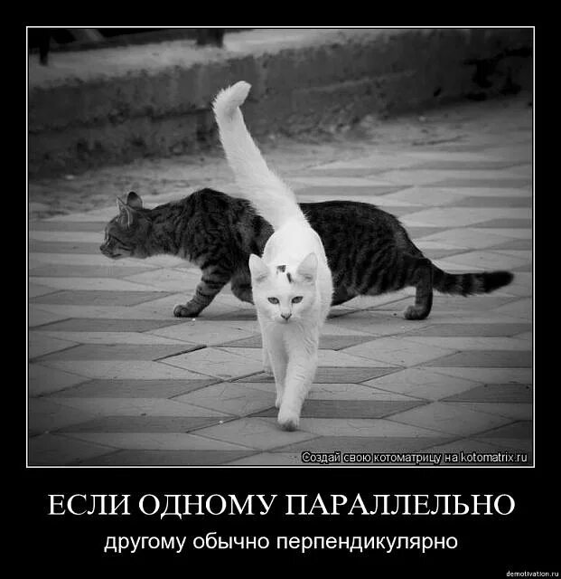 Если где то как то