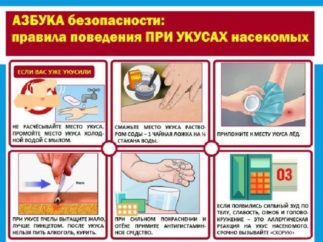 1 помощь при укусе насекомых. Оказание первой помощи при укусах насекомых. оказание первой мед помощи при укусе насекомых. правила первой медицинской помощи при укусах насекомых. памятка для родителей «оказание первой помощи при укусах насекомых».