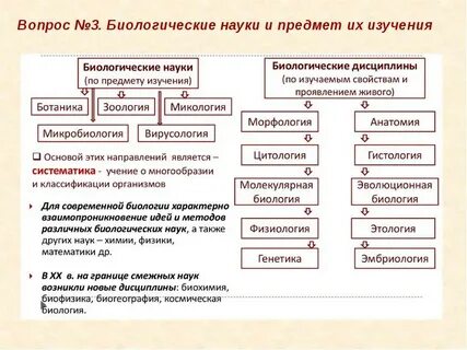 Какие дисциплины включал