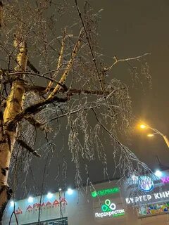 Ледяной дождь в воронеже сегодня