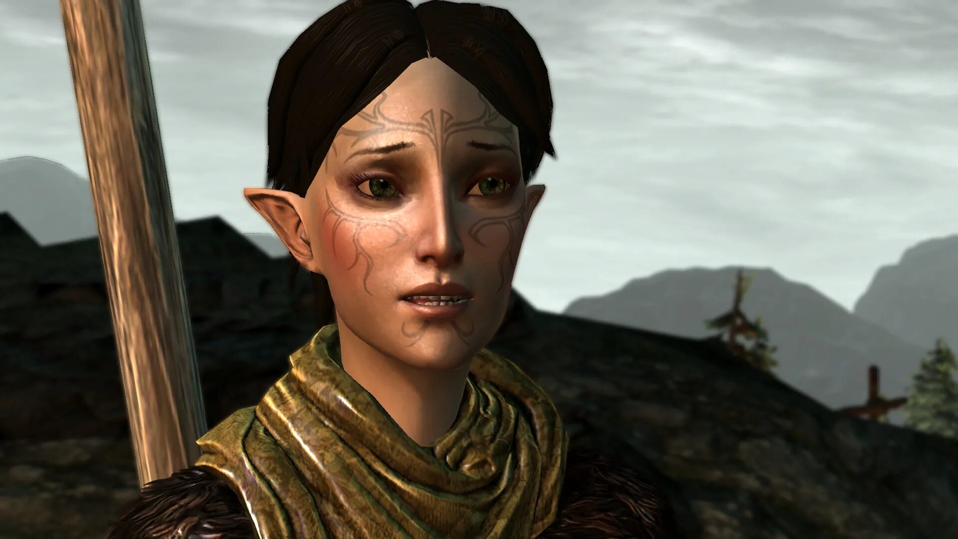 Da 2 d. Da 2 d. Хоук воин dragon age. Dragon age 2 бетани арт. Фенрис и хоук.