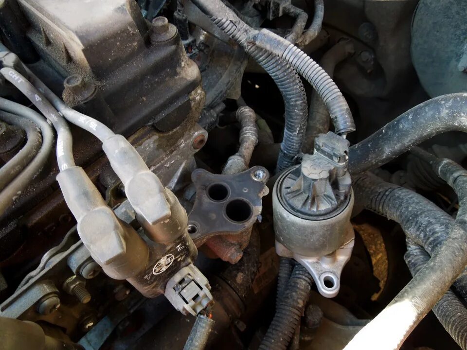 Заглушил EGR - Chevrolet Cruze (1G), 1,6 л, 2010 года другое DRIVE2
