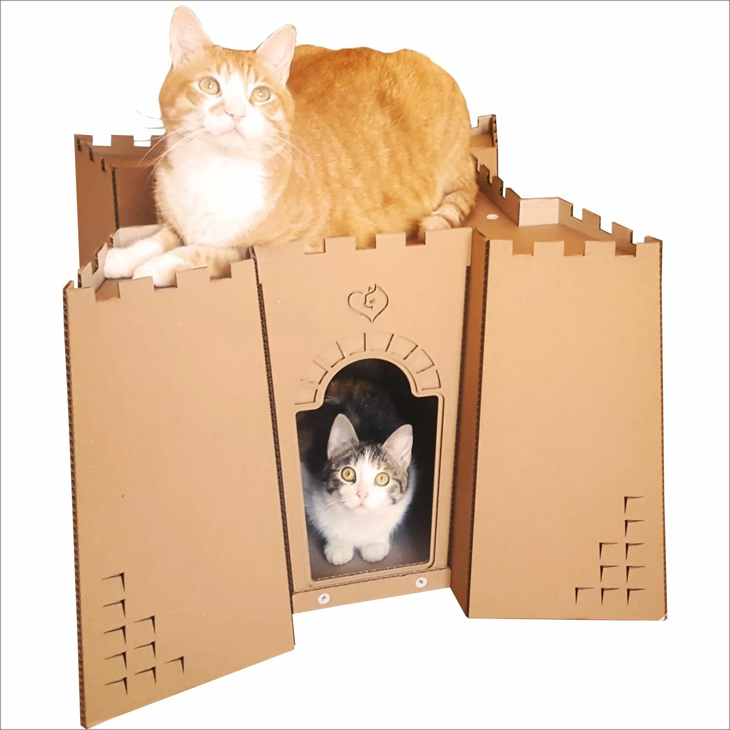 Картон кэт. Кот в картонной коробке. Бумажная коробка для кота. Толстый картон Кэт.