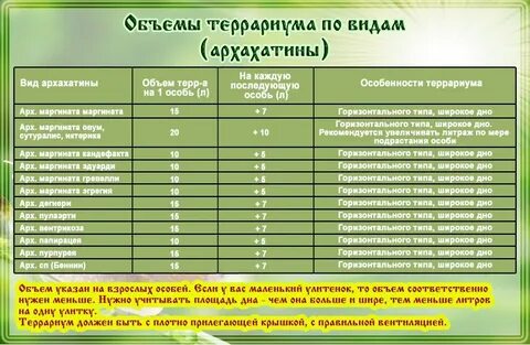 Какой литраж